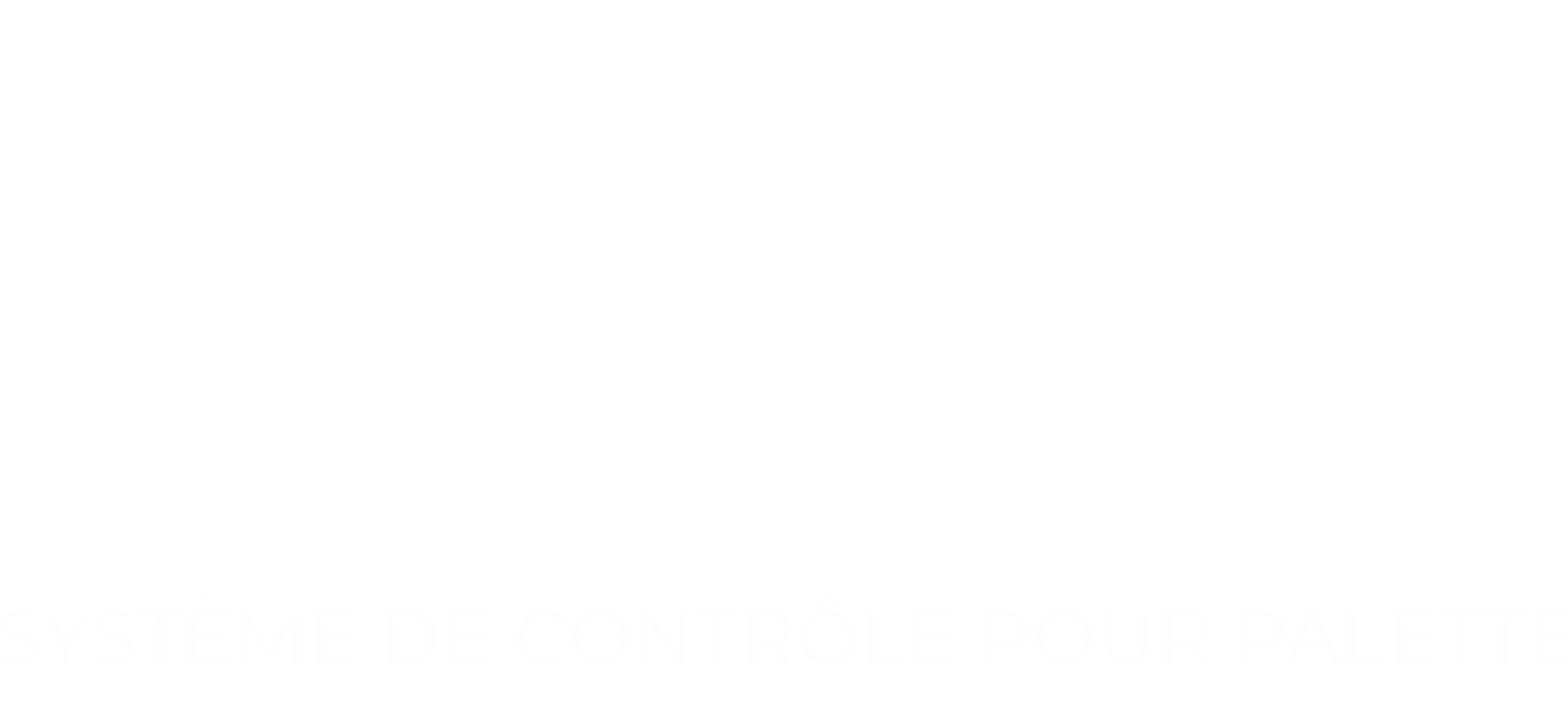 logo Masterpal blanc